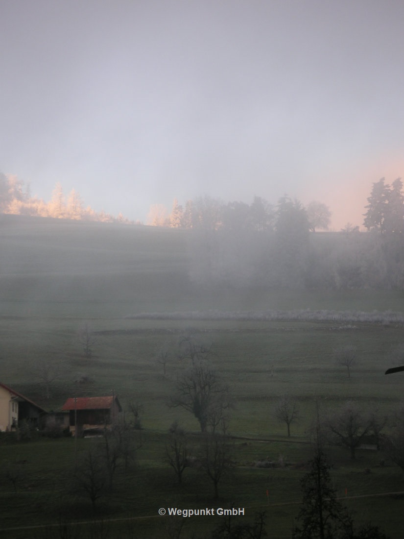Birrwil mit Nebel